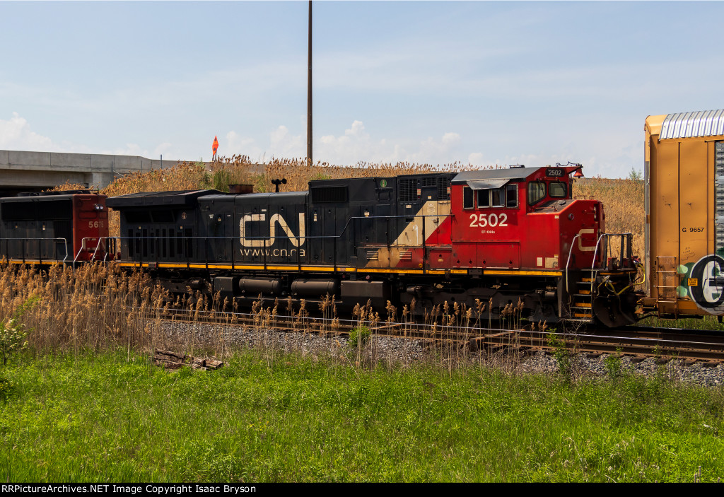 CN 2502